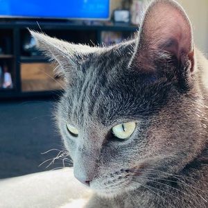 Meet your Posher, Lenny